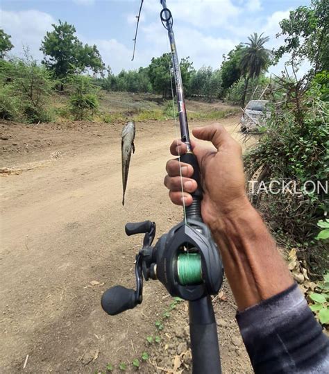 Best Online Fishing Tackle Store in India – Tacklon..